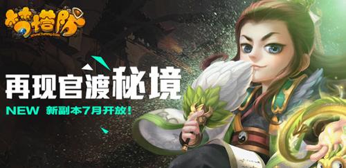 可爱小猫向上跳