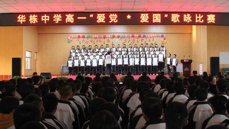 今日上映！《森巴幸福岛之我要回家》友情、勇气与努力是最重要的力量。