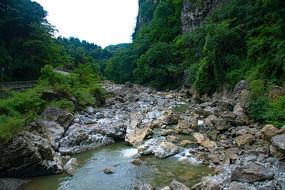 清凉夏日冰淇淋