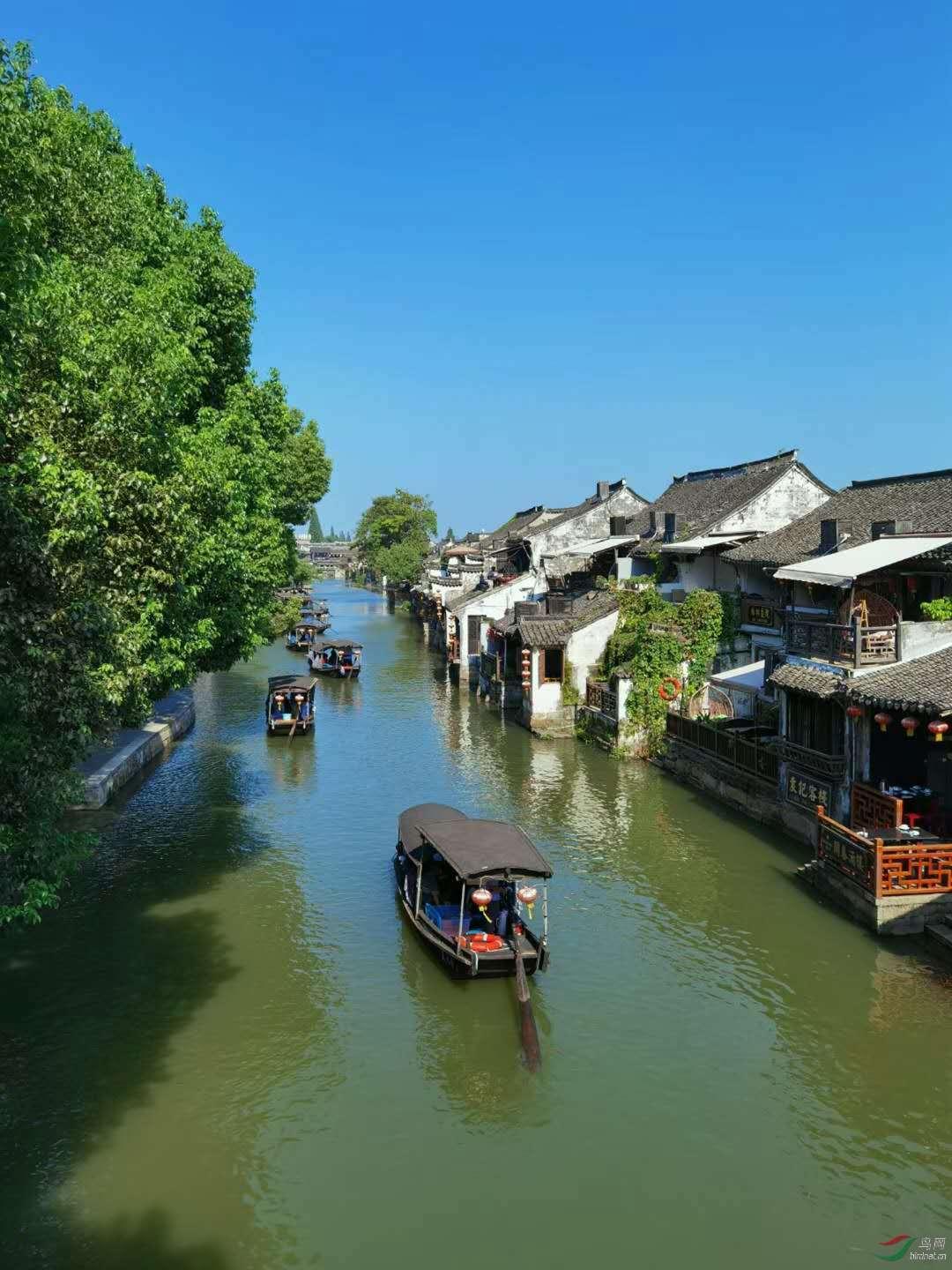 救援卑鄙者